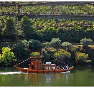 Douro Historical Tour Full Day