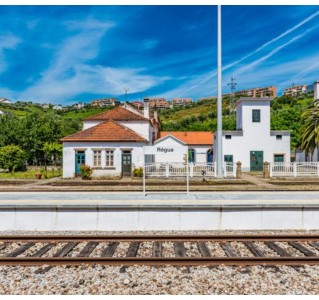 1 Day Cruise from Porto to Régua