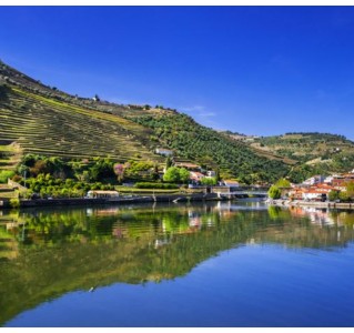 1 Day Cruise from Porto to Pinhão