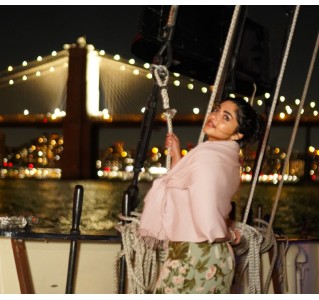 City Lights Cruise - Clipper City