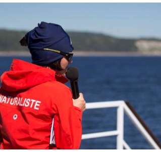 Whale Watching and Fjord Tour in Tadoussac