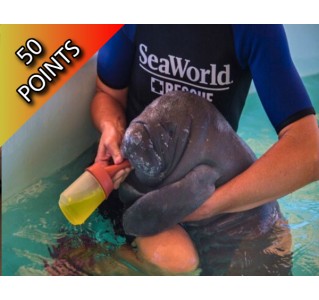 SeaWorld® Rescue Tour
