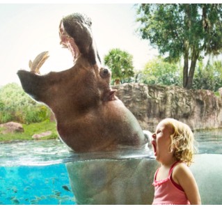 Florida Parks Single Visit Ticket with All Day Dining