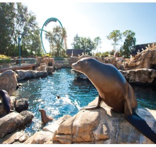 SeaWorld Multi Park - Three Day Ticket with ALL DAY DINE