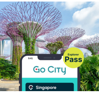 Singapore Explorer Pass (2 Choices)