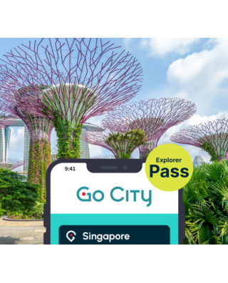 Singapore Explorer Attraction Pass