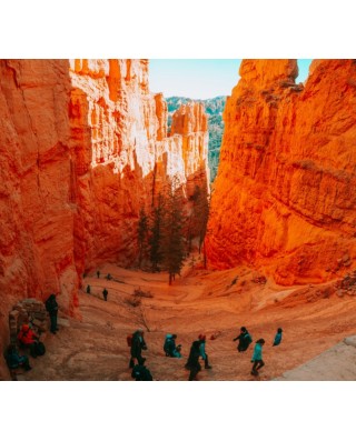 Escorted Tours From Bozeman