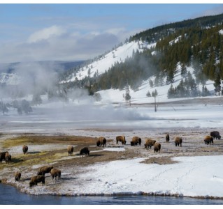 7 Day Tour - WOW National Parks (Selected Thursdays May-Oct)