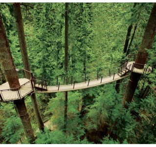 Vancouver City Tour & Capilano Suspension Bridge Tour