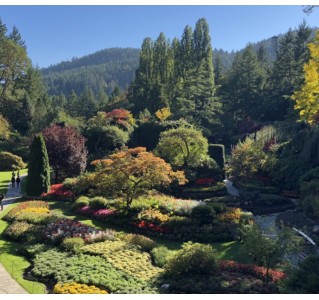 The Butterfly & Butchart Gardens Tour