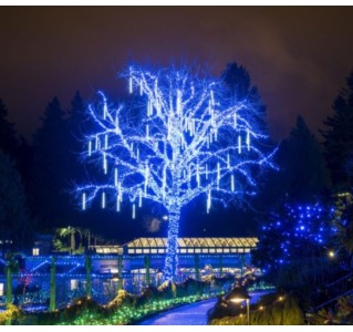 Holiday Lights Tour at Butchart Gardens