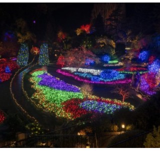 Holiday Lights Tour at Butchart Gardens