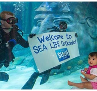The Orlando Eye + SeaLife Orlando