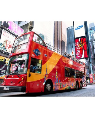 Bus & Sightseeing Tours