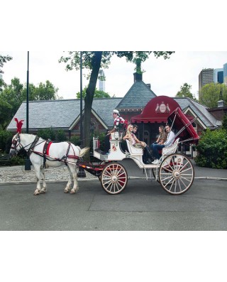 Carriage Rides & Horseback Riding